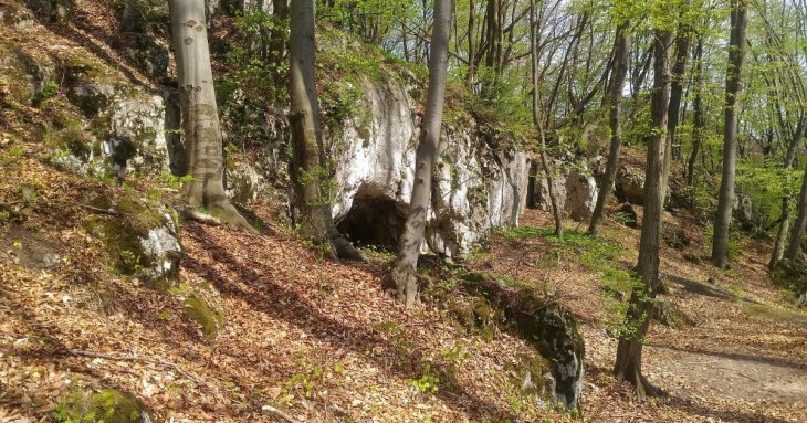 Археологи розповіли про моторошний похоронний звичай людей, які жили у Європі 11-17 тисяч років тому