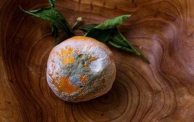 Лікар назвав смертельну небезпеку продуктів із пліснявою