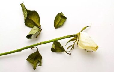 5 проблем в сексе, в которых женщина точно не виновата