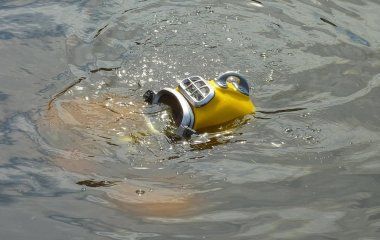 Пішли під воду і не повернулися: на Мальдівах знайшли тіла чотирьох італійців