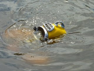 Пішли під воду і не повернулися: на Мальдівах знайшли тіла чотирьох італійців
