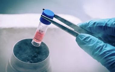 Діти із кріостату. Чим загрожує заморожування яйцеклітин