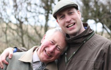 Британцы против 