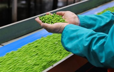 Дієтолог назвав продукт, що захищає від раку і зміцнює кістки.