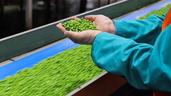 Дієтолог назвав продукт, що захищає від раку і зміцнює кістки.