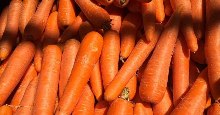 Найсолодші сорти моркви: яку посадити для щедрого та смачного врожаю