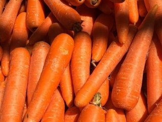 Найсолодші сорти моркви: яку посадити для щедрого та смачного врожаю