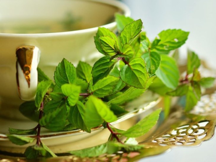 Названы травы, которые помогают справиться со стрессом