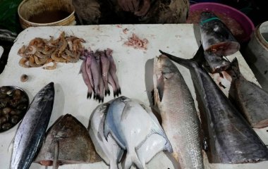 Коли треба їсти рибу для максимальної користі — названо час