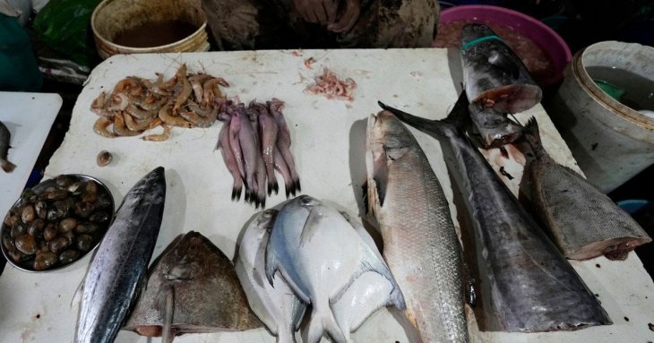 Коли треба їсти рибу для максимальної користі — названо час