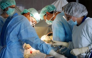 Вчені визначили ознаки небезпечного забруднення печінки токсинами