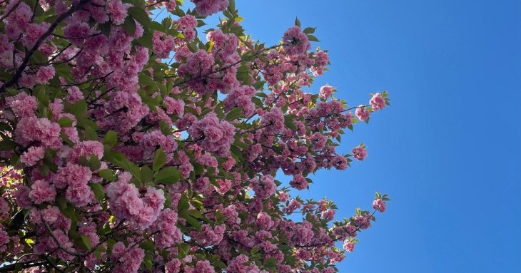 День ангела 18 квітня: кого та як вітати з іменинами