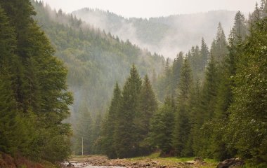 Зник на дев’ять днів — і повернувся живим: неймовірна історія виживання у Канаді