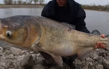 Рибалка зняв бій з величезною рибою та здивував відео
