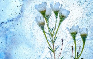День ангела 23 лютого: кого та як вітати з іменинами