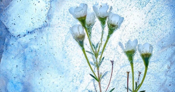 День ангела 23 лютого: кого та як вітати з іменинами