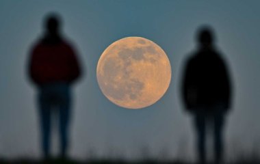 Гороскоп на неделю с 14 по 20 июня 2021 года
