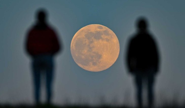 Гороскоп на неделю с 14 по 20 июня 2021 года