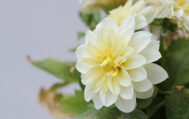 День ангела 19 серпня: кого та як вітати з іменинами