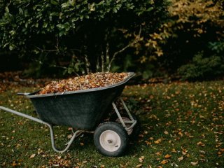 Куди подіти опале листя, якщо його не можна спалювати: найкращі способи використання