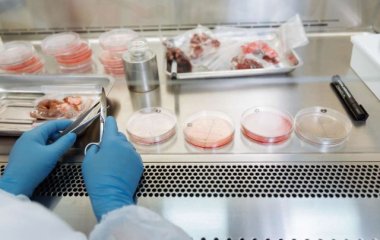 Ученые назвали группу крови с самым сильным иммунитетом