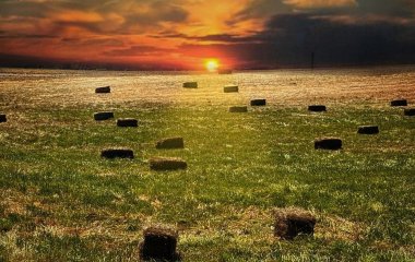 День ангела 16 серпня: кого та як вітати з іменинами