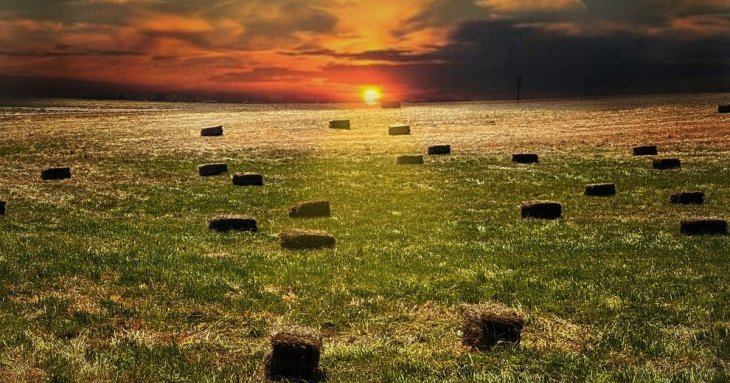День ангела 16 серпня: кого та як вітати з іменинами