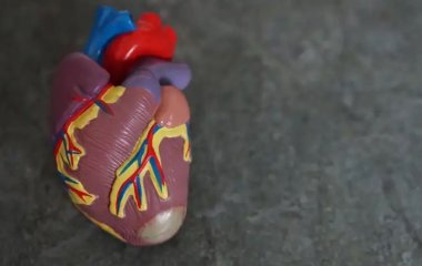 Як відновити серце після інфаркту: корисні поради лікарів