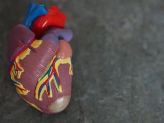 Как восстановить сердце после инфаркта: полезные советы врачей