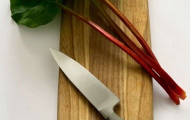 Лікар назвала ревінь найкориснішим для здоров'я продуктом
