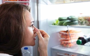 Что делать, если холодильник пропах салатами: благодаря этой уловке вы забудете о проблеме