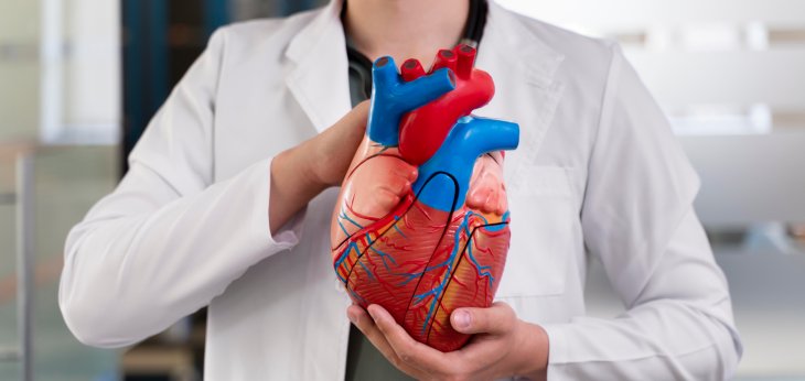 Ученые разработали метод диагностики заболеваний сердца по селфи