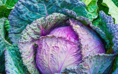Можна і без молока: ТОП-5 продуктів, багатих на кальцій