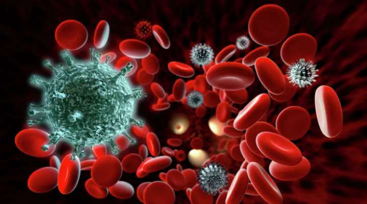 Ученые установили длительность иммунитета у переболевших COVID-19