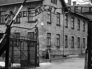 День визволення України від нацистських загарбників: історія та головні факти