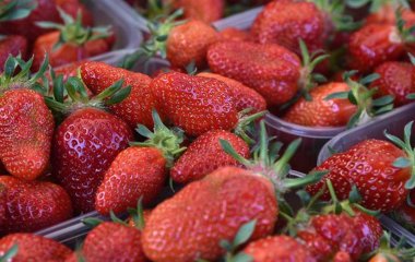 Ендокринолог назвала літні продукти, що викликають ризик отруєння.