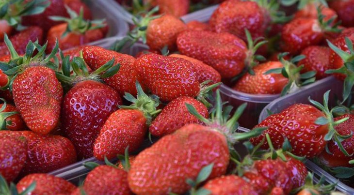 Ендокринолог назвала літні продукти, що викликають ризик отруєння.