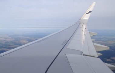 Користувачів розсмішив надто емоційний стюард