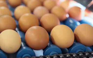 Лікар розвіяв популярний міф про шкоду яєць
