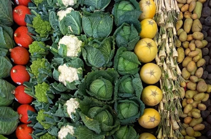 П'ять найкращих продуктів для профілактики раку, які є у кожному городі