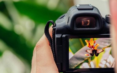 Платять 43 тисячі євро за поїздку до Ісландії: європейська компанія шукає найгіршого фотографа