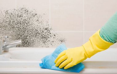 Эффективный способ избавиться от плесени в доме: исчезает за 1 час без 
