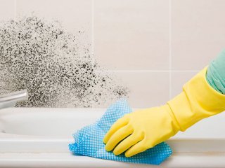 Эффективный способ избавиться от плесени в доме: исчезает за 1 час без