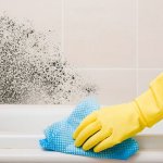 Эффективный способ избавиться от плесени в доме: исчезает за 1 час без 