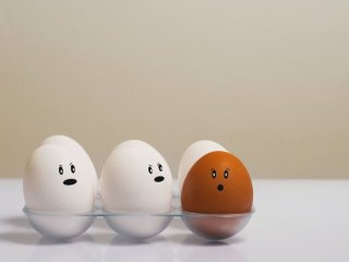Більшість робить це неправильно: куди не можна ставити яйця в холодильнику