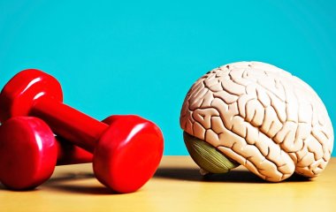 Вчені довели, що у спортсменів пам'ять краща, ніж у «ботаніків»