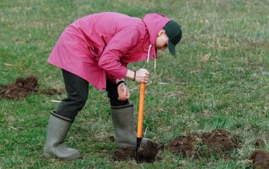 Как ухаживать за огородом осенью: советы для щедрого урожая в следующем году