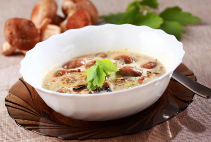 Лучшие рецепты приготовления грибных супов