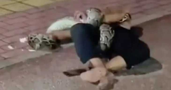 П'яний чоловік затіяв на вулиці бійку з пітоном: хто переміг (відео)