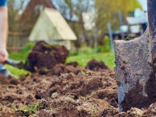 Чи можна працювати на другий, третій день день після Паски, коли можна братися до роботи після Великодня